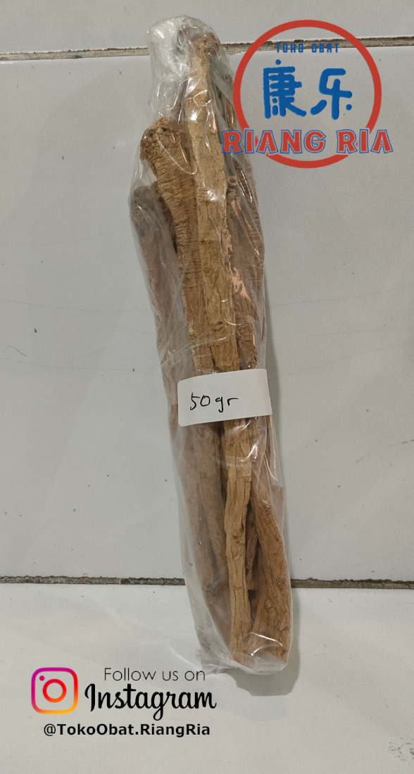 TONG SEM/ Dang shen/ Codonopsis Root (Tipis) - 50gr