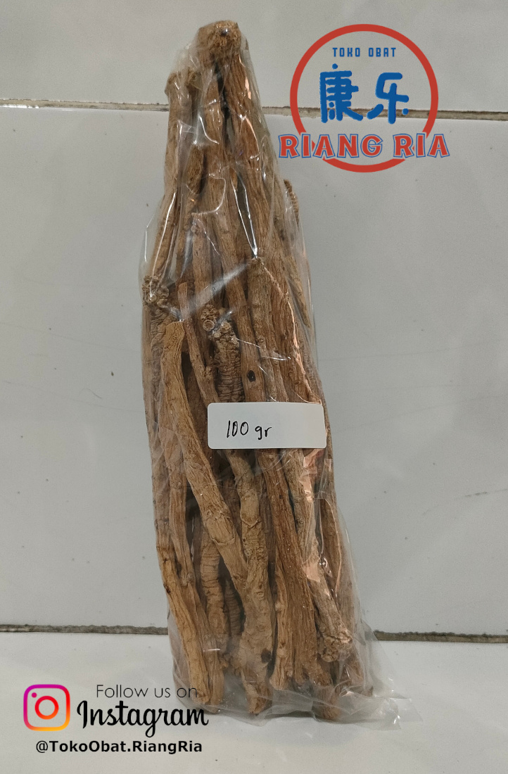 TONG SEM/Dang shen/Codonopsis Root (tipis) - 100gr