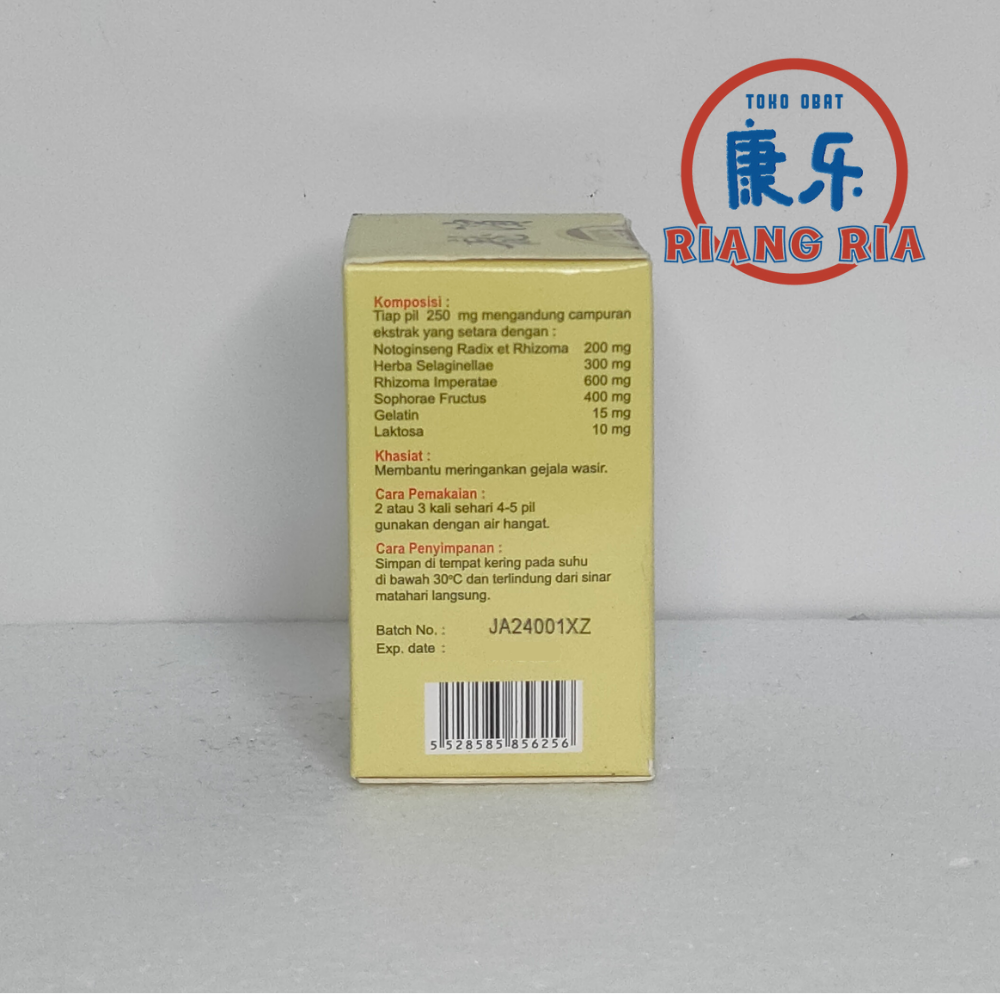 XIONG DAN ZHI ZHUANG WAN / OBAT WASIR / AMBEIEN / AMBEYEN
